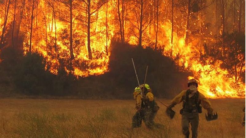 Los incendios arrasan más del doble de la media de hectáreas quemadas en Europa entre 2008 y 2020