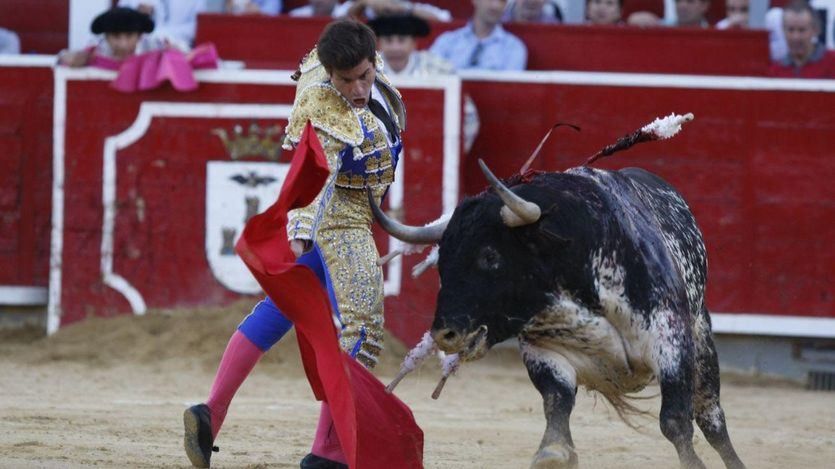 Un toro con el habitual trapío de Albacete, al que muletea el coletudo local Rubén Pinar