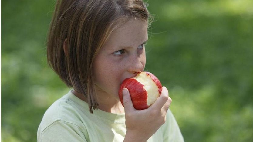 El 51% de los padres apuesta por minimizar la carne y utilizar alternativas vegetales en la merienda de sus hijos