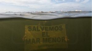 La principal causa de la muerte de toneladas de peces en el Mar Menor