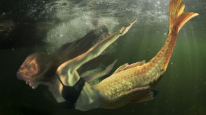 Horóscopo de hoy, martes 5 de octubre de 2021