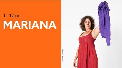 Crítica de la obra de teatro 'Mariana': una mujer, una celda y una bandera