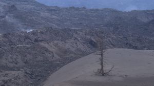 El volcán de La Palma sigue generando actividad interna, pero se da por finalizada su erupción