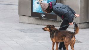 Un juzgado de Oviedo, primero en aplicar la consideración de un perro como "ser sintiente"