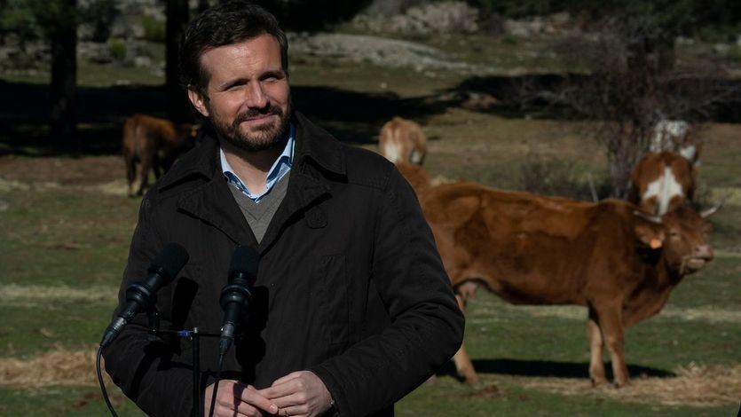 Pablo Casado, visitando una explotación ganadera