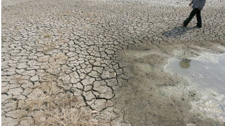 Andalucía vive su peor sequía en años: los embalses apenas superan el 30% de su capacidad