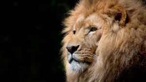 Horóscopo de hoy, jueves 3 de marzo de 2022