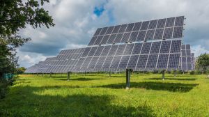 Placas solares: ¿sí o no?: la demanda de energía fotovoltaica pone en jaque a los ecologistas