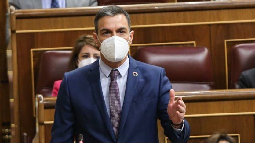 Pedro Sánchez