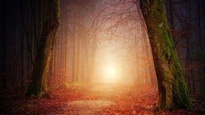 Horóscopo de hoy, martes 29 de marzo de 2022