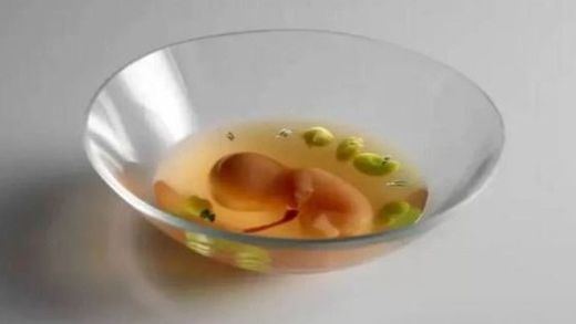 La polémica creada por el plato del embrión humano simulado