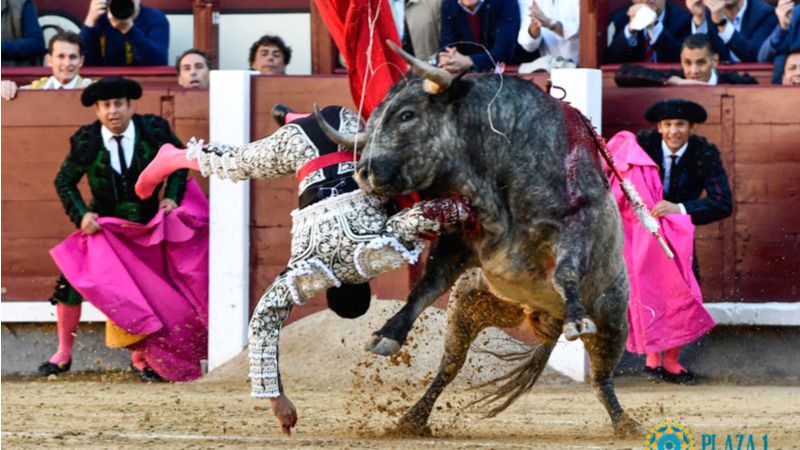 Momento de la caída de Emilio de Justo tras ser volteado por el primer toro