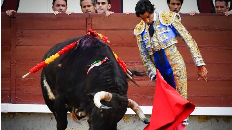 Trincherilla de Curro Díaz a su segundo toro.