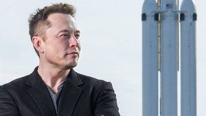 Elon Musk se hace finalmente con Twitter: se teme que vuelvan Trump y los excesos ideológicos