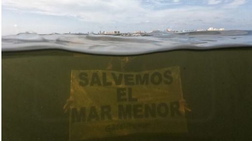 Alerta por el riesgo de un nuevo episodio de muerte masiva de organismos en el Mar Menor