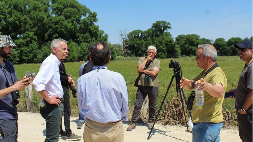 Iberdrola dedica más de 10 años al estudio del milano real en la Península Ibérica