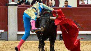 Momento de la cornada del tercer toro a Ginés Marín en la pierna derecha del coletudo.