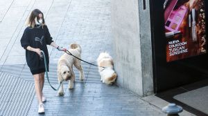 Suben los contagios y los fallecidos mientras se reduce la ocupación hospitalaria