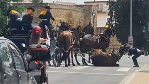 Pacma reclama prohibir por ley el uso de caballos en ferias y romerías