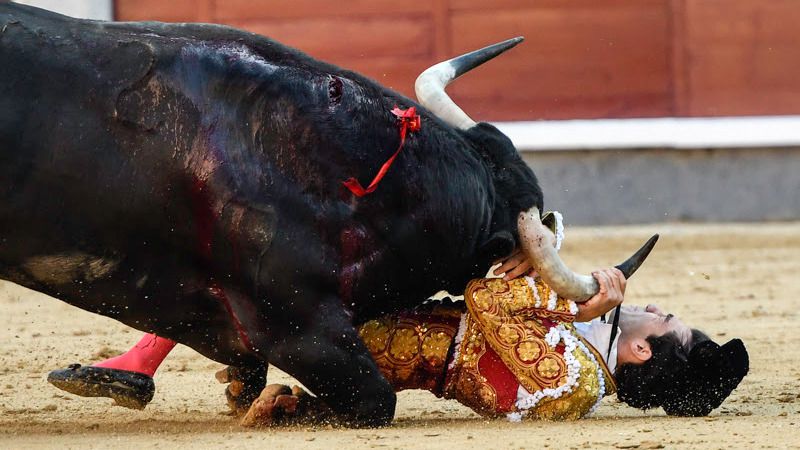 Tomás Rufo quedó durante unos segundos a merced de su primer toro, por fortuna sin consecuencisd.