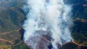 El primer gran incendio de la temporada de verano, en Pujerra (Málaga): arde Sierra Bermeja