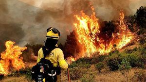 España, en riesgo extremo de incendios debido a la ola de calor que azota el país