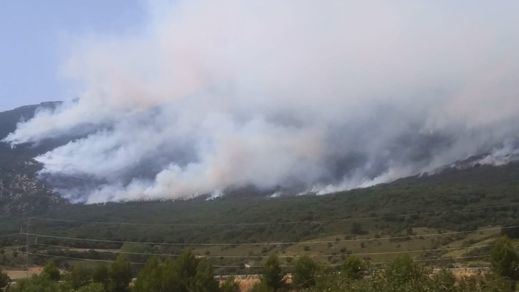 España arde: la ola de calor provoca varios incendios forestales de relevancia en diferentes regiones