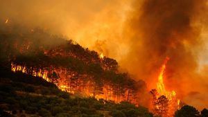 El calor sigue abrasando España y en varios puntos del norte se alcanzarán los 42 grados