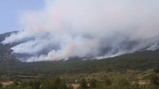 El Gobierno informa de un amplio dispositivo contra las decenas de incendios que asolan España