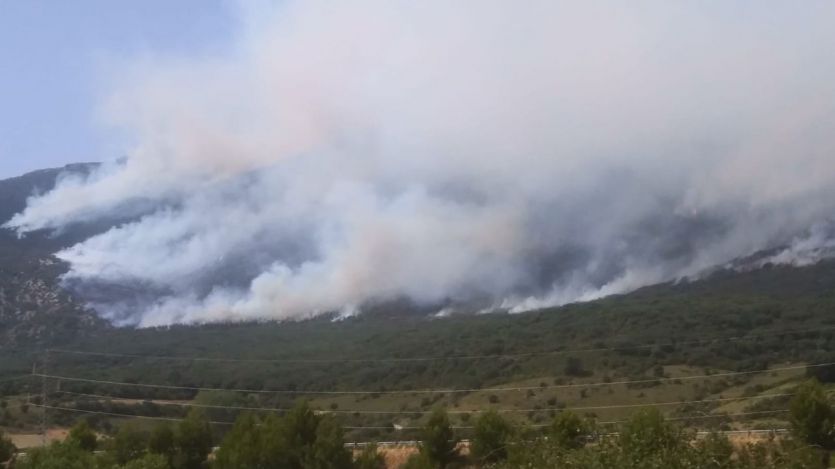 El Gobierno informa de un amplio dispositivo contra las decenas de incendios que asolan España
