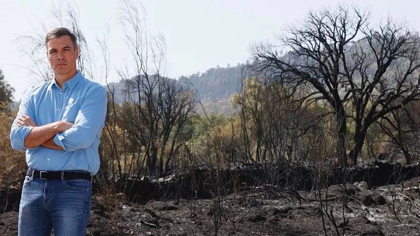 Imagen de Pedro Sánchez en el incendio de Extremadura