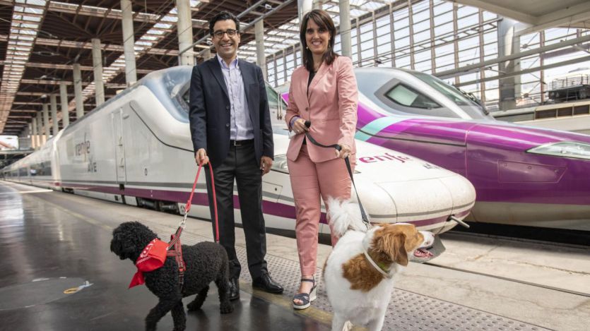 Renfe llevará a cabo una prueba piloto para viajar con perros de hasta 40 kg en trenes AVE-Larga Distancia