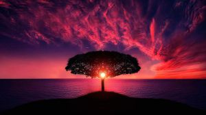 Horóscopo de hoy, viernes 26 de agosto de 2022