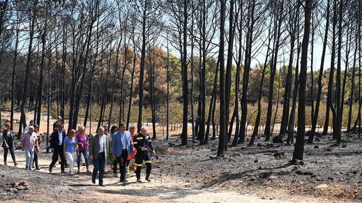 Todo sobre las ayudas para las zonas afectadas por el centenar de incendios registrados este verano