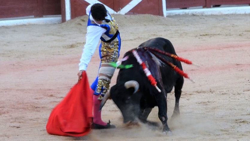 Chicharro muletea al sexto del último festejo del abono de Colmenar