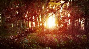 Horóscopo de hoy, miércoles 5 de octubre de 2022