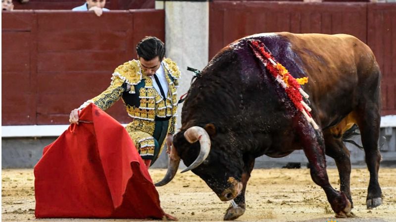 Elegante muletazo en redondo de Juan Ortega a su segundo toro