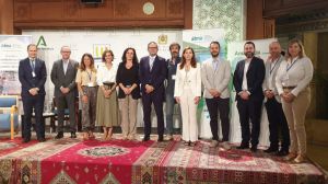 Especialistas en medio ambiente clausuran en Sevilla el ciclo de jornadas sobre acción climática y energética organizado por el IIDMA