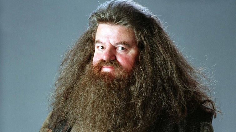 Robbie Coltrane como Hagrid