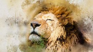 Horóscopo de hoy, martes 1 de noviembre de 2022