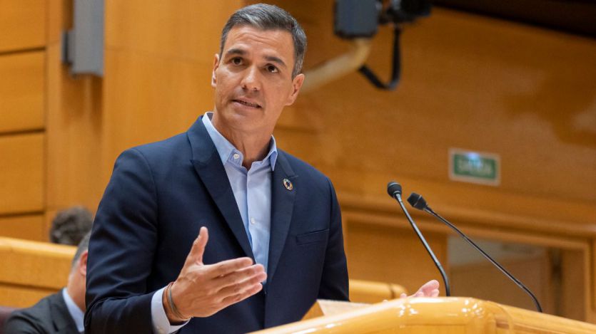 Pedro Sánchez, en el Senado