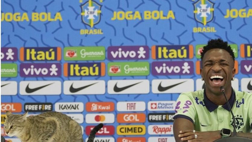 Vinicius y el gato que se subió a la mesa durante la rueda de prensa previa al partido