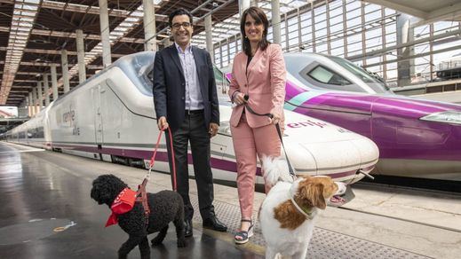 Renfe prolonga la prueba piloto para viajar con perros de hasta 40kg en los AVE Madrid-Barcelona y lo extiende a Málaga