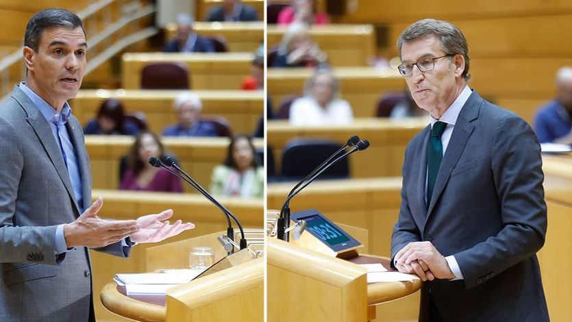 Sánchez y Feijóo, en el Senado