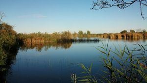 Las lluvias de diciembre llevaron a las reservas de agua al 44,9% de su capacidad