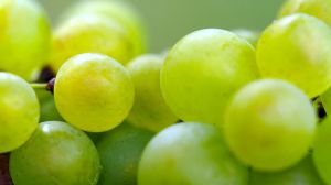 ¿Por qué se toman 12 uvas en Nochevieja?: origen de esta tradición