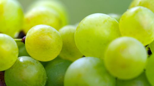 Las uvas de la suerte