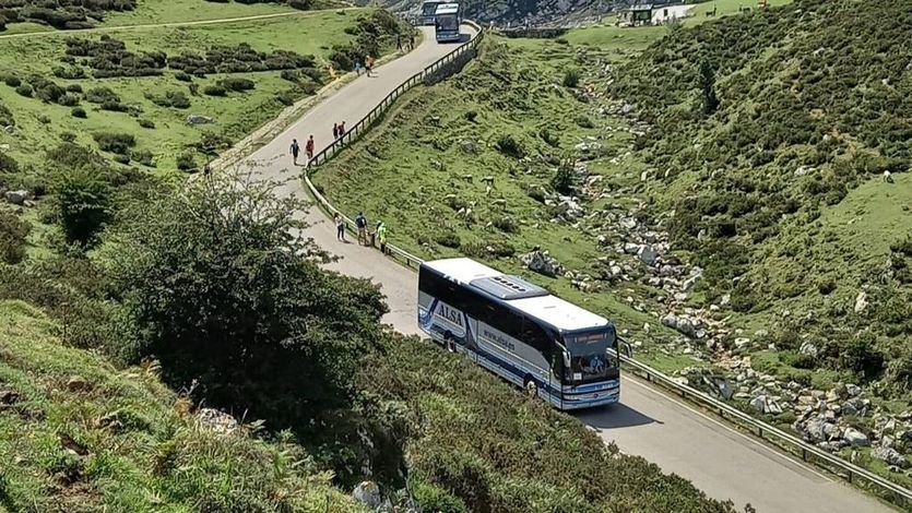 El Gobierno lanza un título multiviaje gratuito para los viajeros habituales de autobús