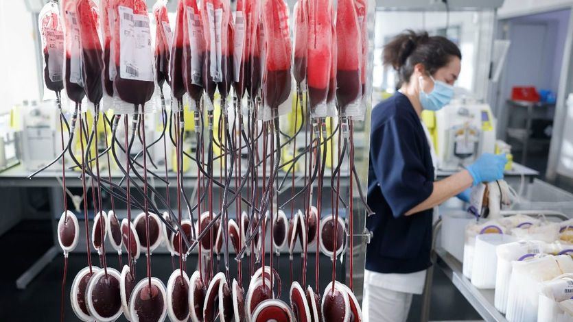 El CSIC participa en un proyecto para desarrollar sangre artificial