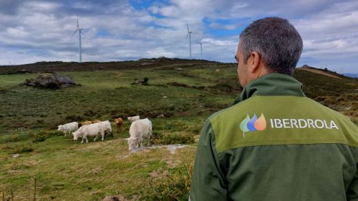 Los 'Premios Iberdrola Convive' abren su primera convocatoria